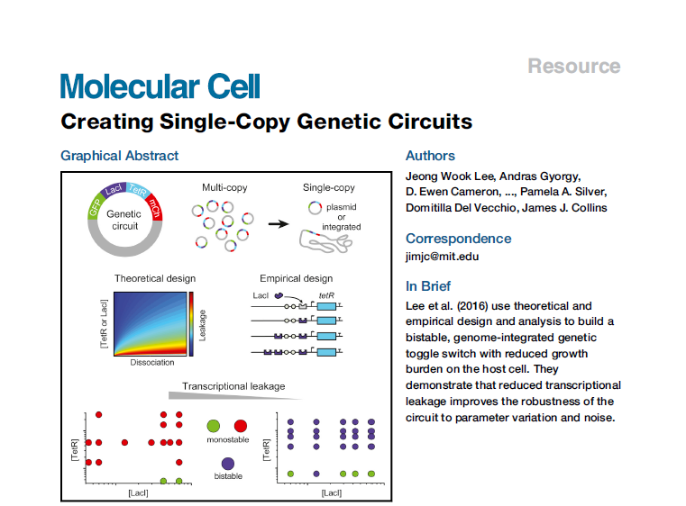 Creating single-copy genetic circuits (Molecular Cell, 2016)  (JCR 2%)
