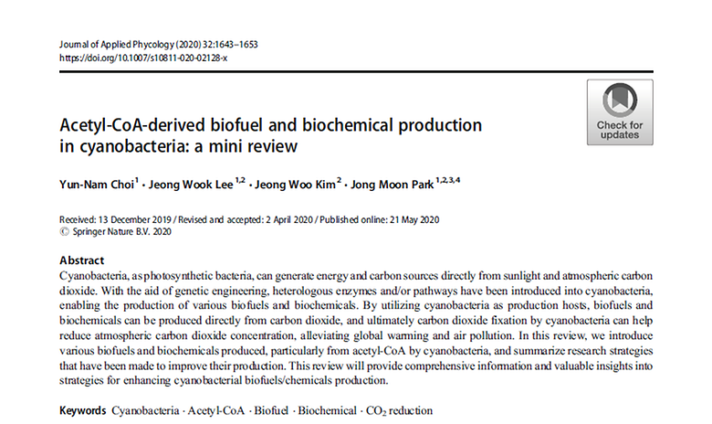 Acetyl-CoA-derived biofuel and biochemical production in cyanobacteria: a mini review (Journal of Applied Phycology, 2020)